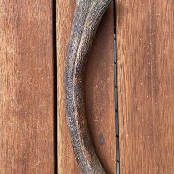 Extra Large Antler (250g+) - Eco-friendly deer antler chew