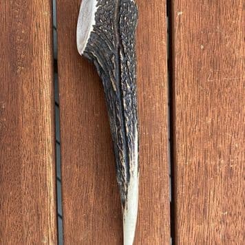 Medium Antler (90g - 150g) - Eco-friendly deer antler chew